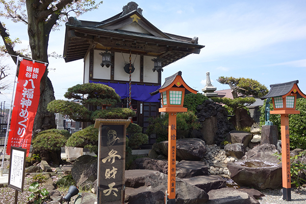 ���J�����_����