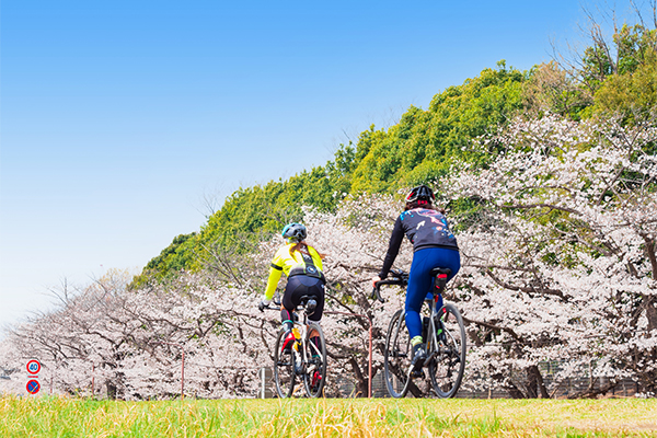 �T�C�N�����O�̎ʐ^�W