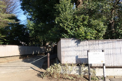 ���q������