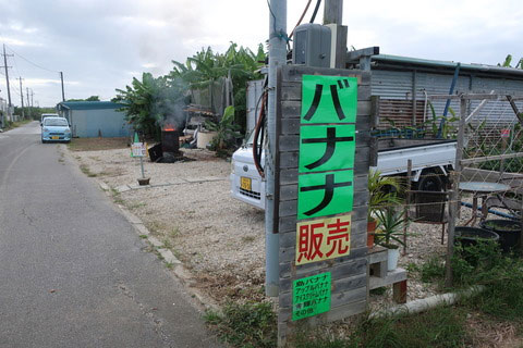 �o�i�i������