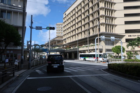 �s�X�n�̗l�q