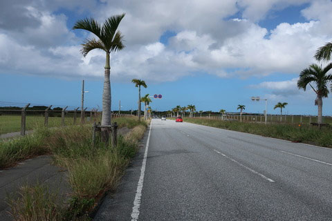 �����̗l�q