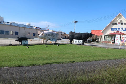 �n���H��