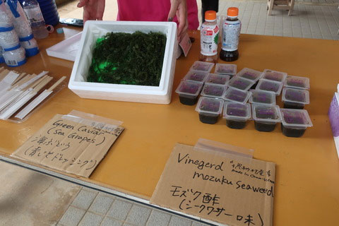 �G�C�h�̗l�q