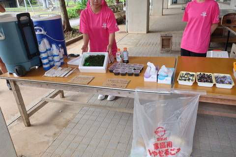 �G�C�h�̗l�q